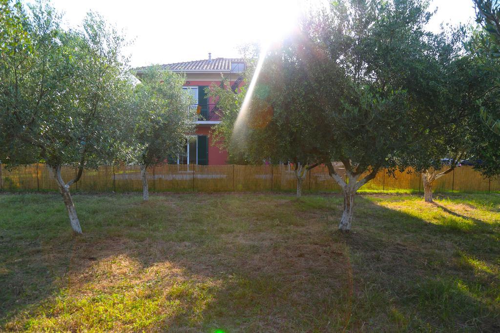 Spasmeni Vrisi Lygia  Rom bilde